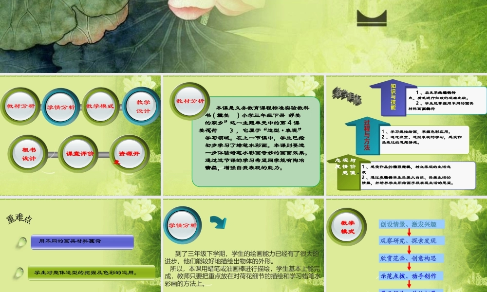 江西美术出版社小学美术三年级下册《荷花美》课件15