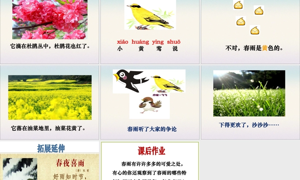 《春雨的色彩》课件4