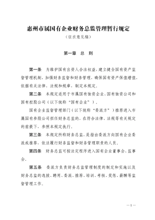 惠州市属国有企业财务总监管理暂行规定