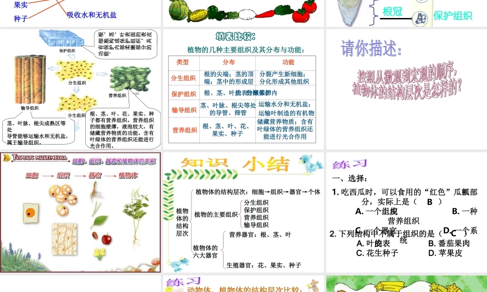 植物体的结构和层次