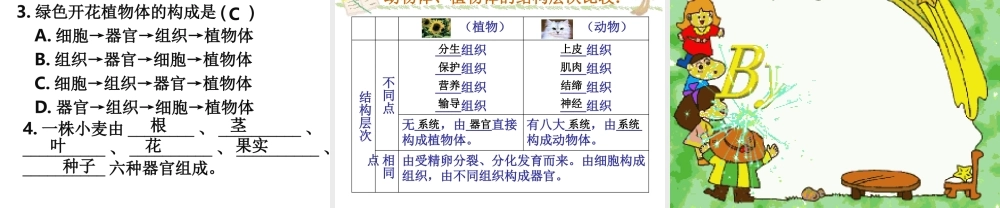 植物体的结构和层次