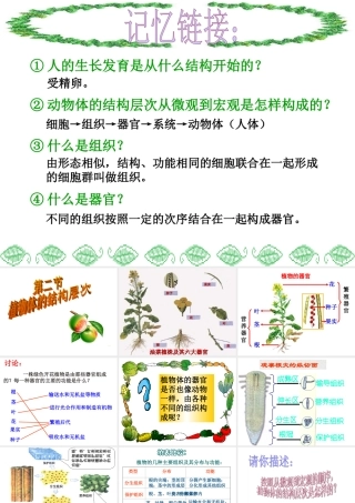 植物体的结构和层次
