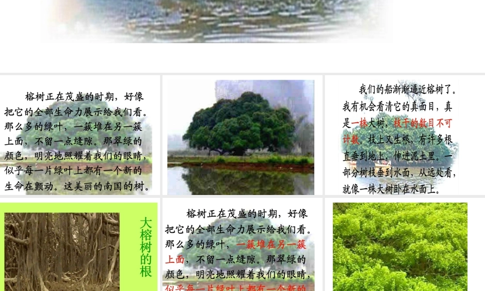 演示文稿1.ppt--鸟的天堂