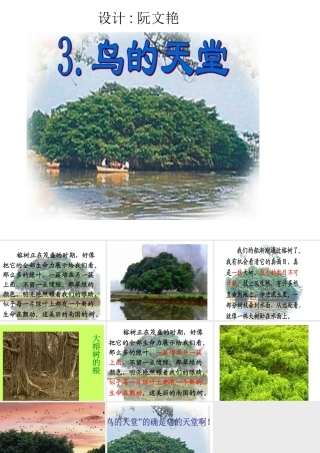 演示文稿1.ppt--鸟的天堂