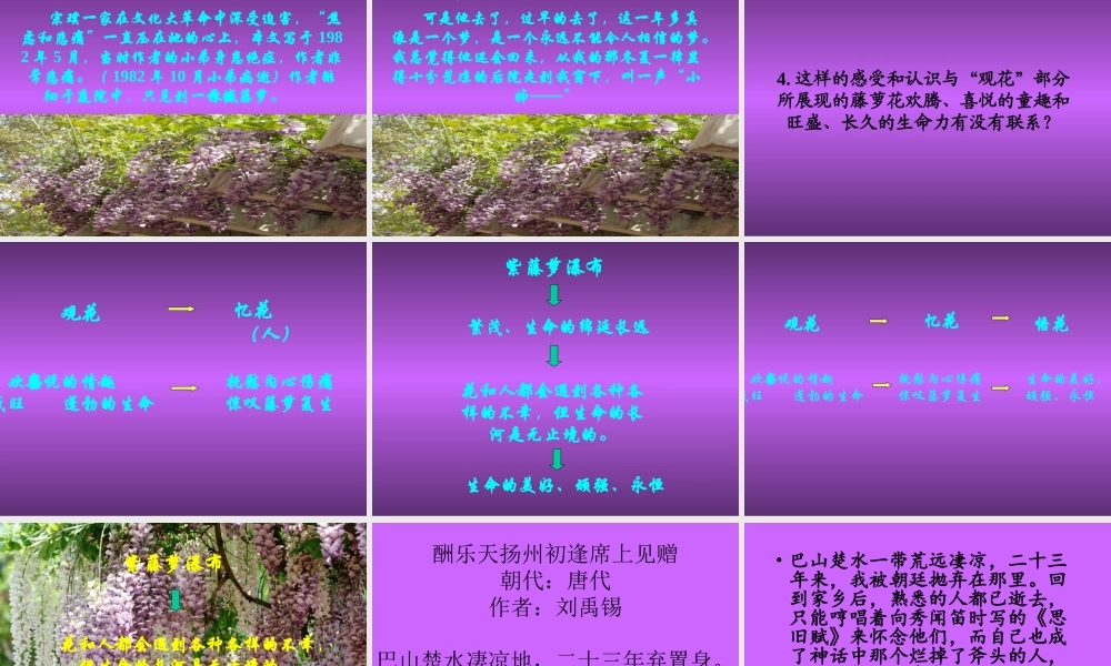 沪江中学学科网-4-紫藤萝瀑布3-2013033133326059-593-(1)