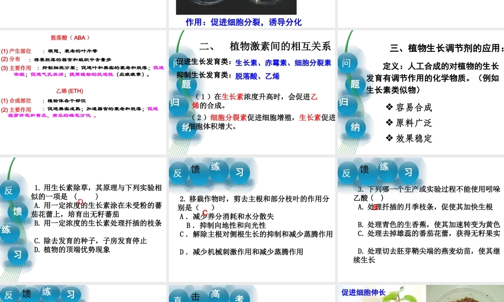 第三章第三节其他植物激素