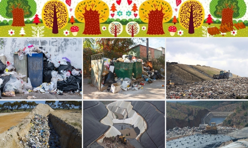 调查“生活垃圾”