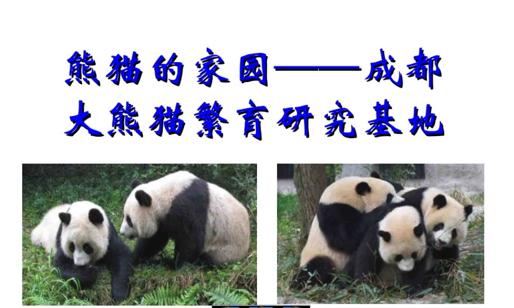 成都熊猫基地【wq发】