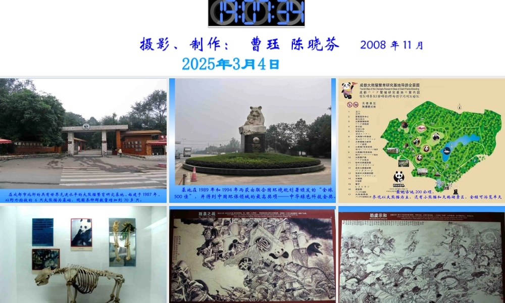 成都熊猫基地【wq发】
