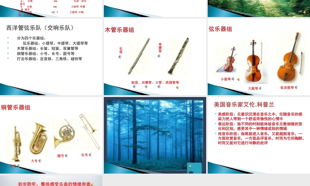 山林的呼唤(交响组曲《山林之歌》第一乐章)