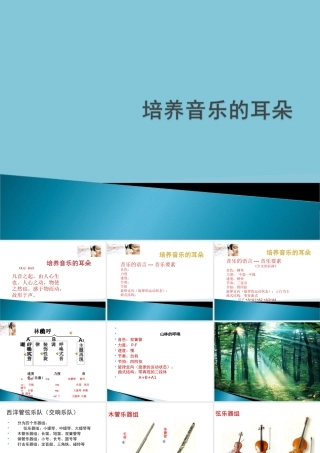 山林的呼唤(交响组曲《山林之歌》第一乐章)