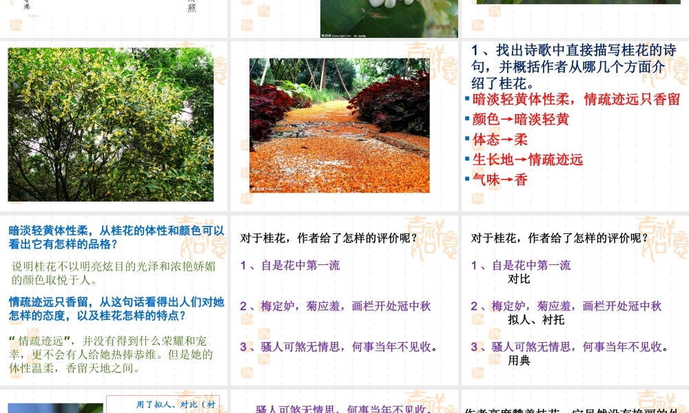 鹧鸪天李清照