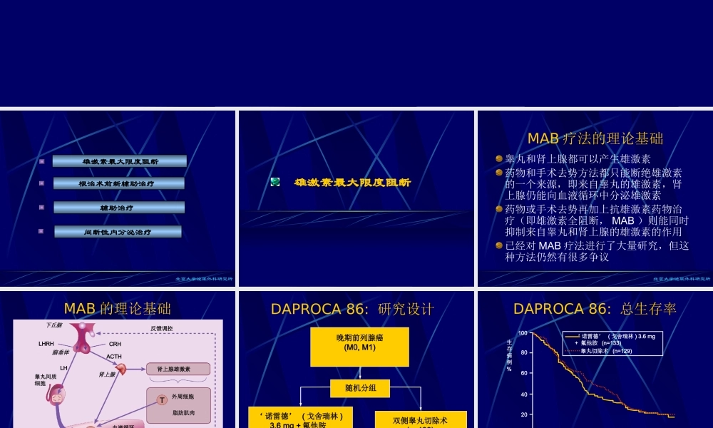 那彦群-晚期前列腺癌的激素辅助治疗