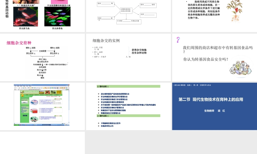 科技发展之窗-农业的绿色革命