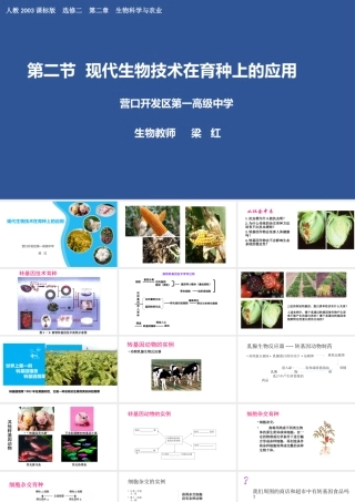 科技发展之窗-农业的绿色革命