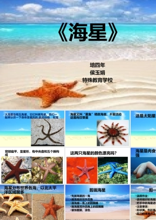 第二学段(4—6年级)