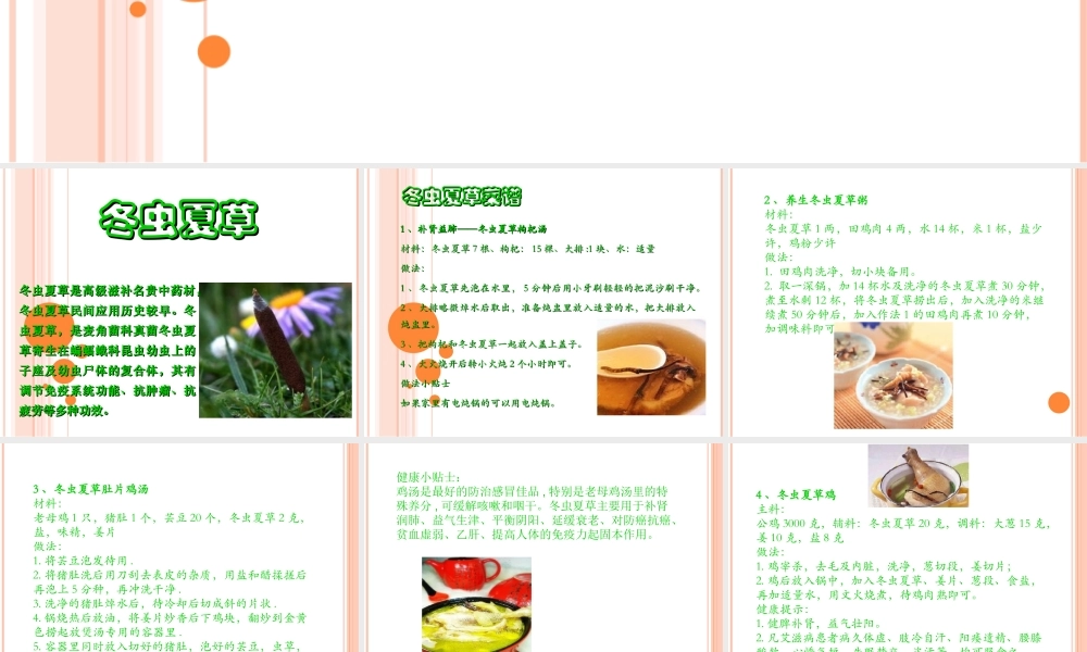 冬虫夏草的做法——虫草菜谱