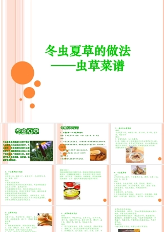冬虫夏草的做法——虫草菜谱
