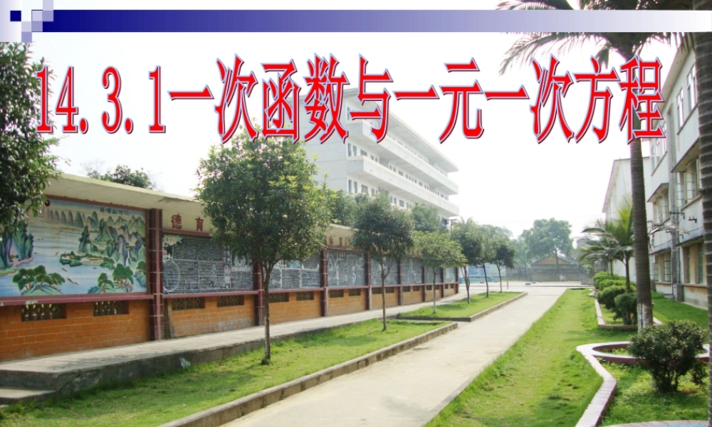 (杨雄辉)1431一次函数与一元一次方程课件2