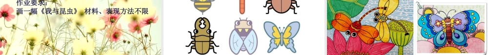 10.我和昆虫
