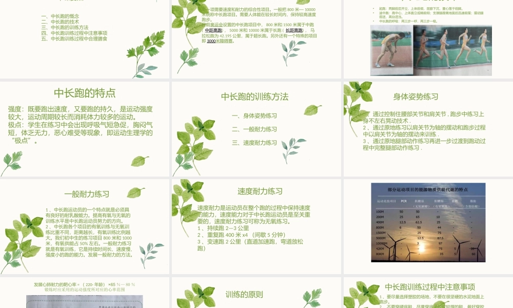 3.中长距离跑