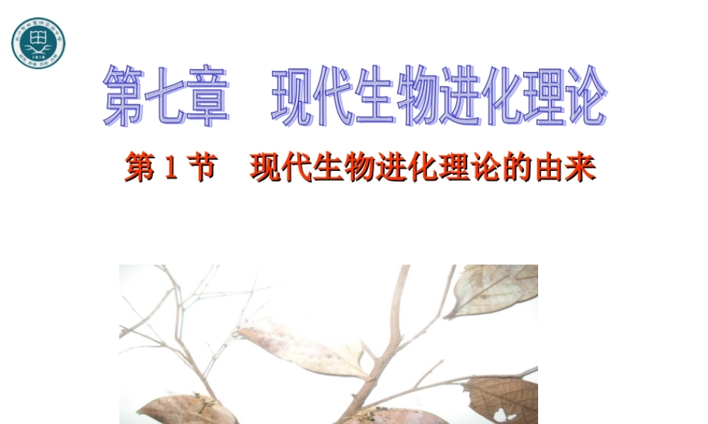 现代生物进化理论的由来