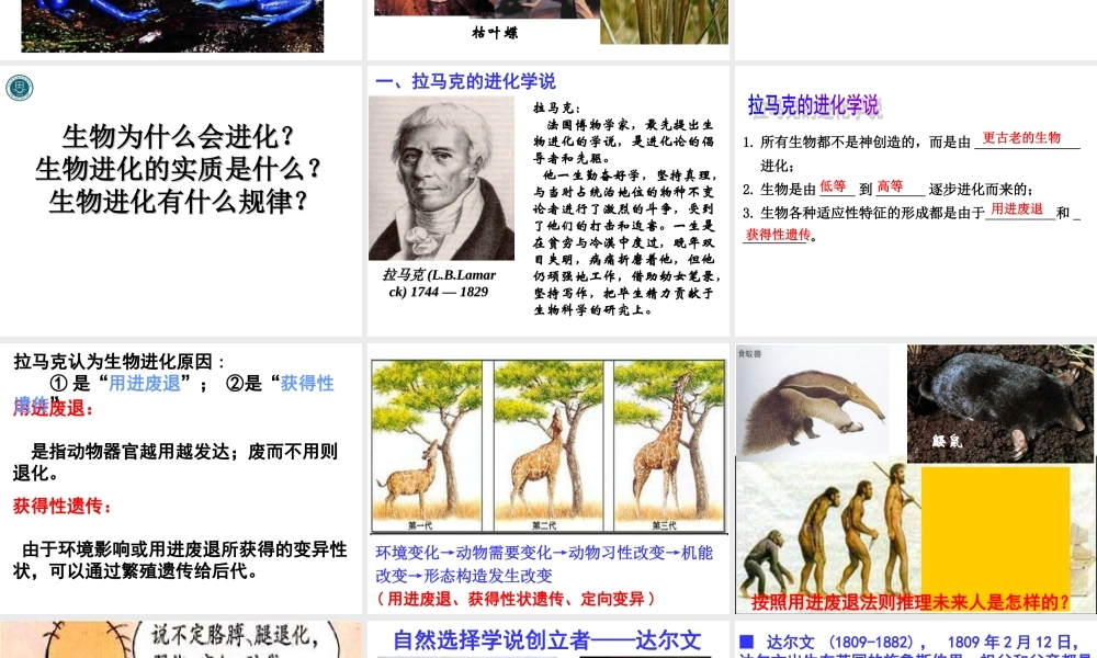现代生物进化理论的由来
