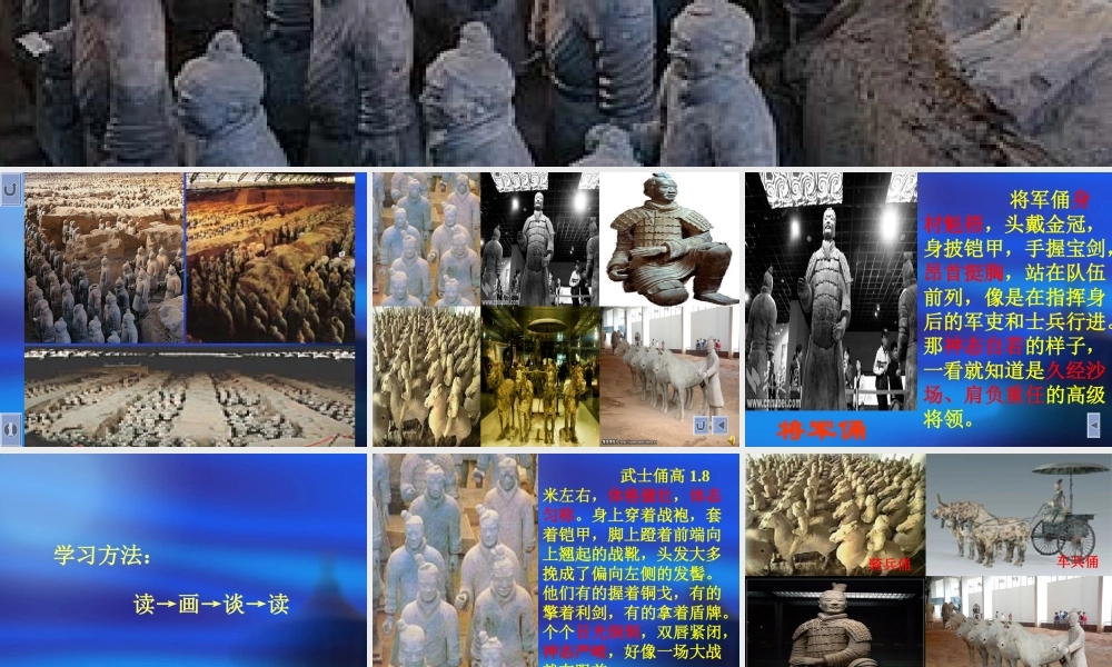 《秦兵马俑》课件