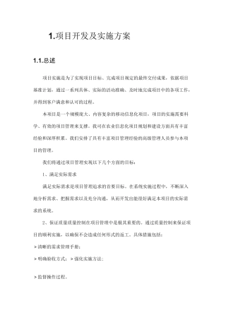项目开发及实施方案