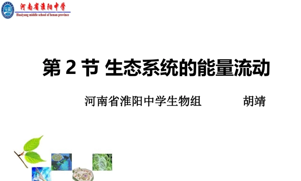 生态系统中的能量流动-(3)