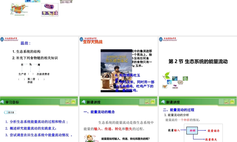 生态系统中的能量流动-(3)