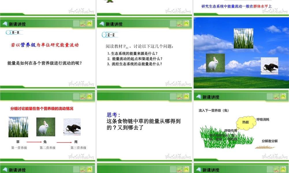 生态系统中的能量流动-(3)