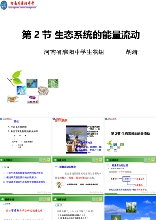 生态系统中的能量流动-(3)