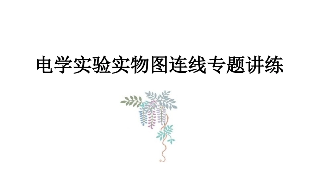 wzhl——电学实验实物图连线——动画(2008)