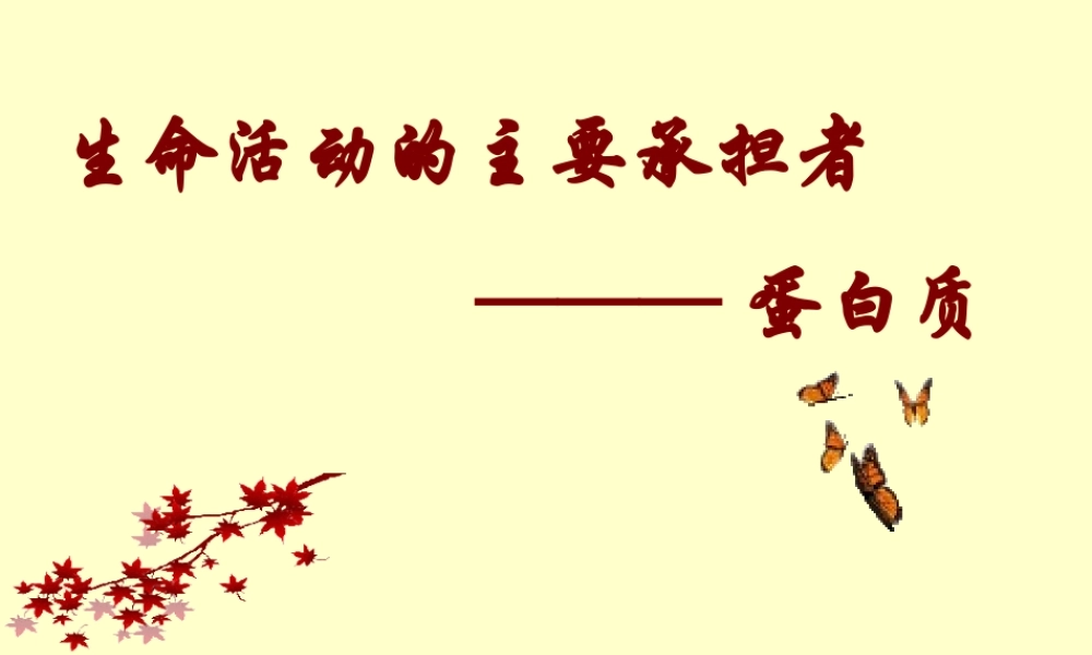 高一生物必修1生命活动的主要承担者蛋白质-新课标人教版