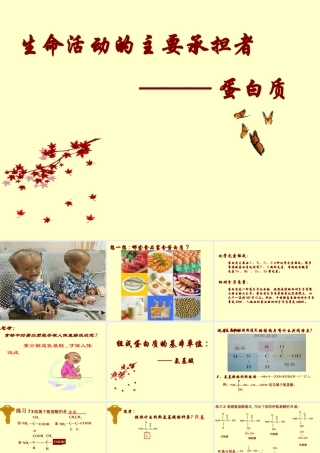 高一生物必修1生命活动的主要承担者蛋白质-新课标人教版