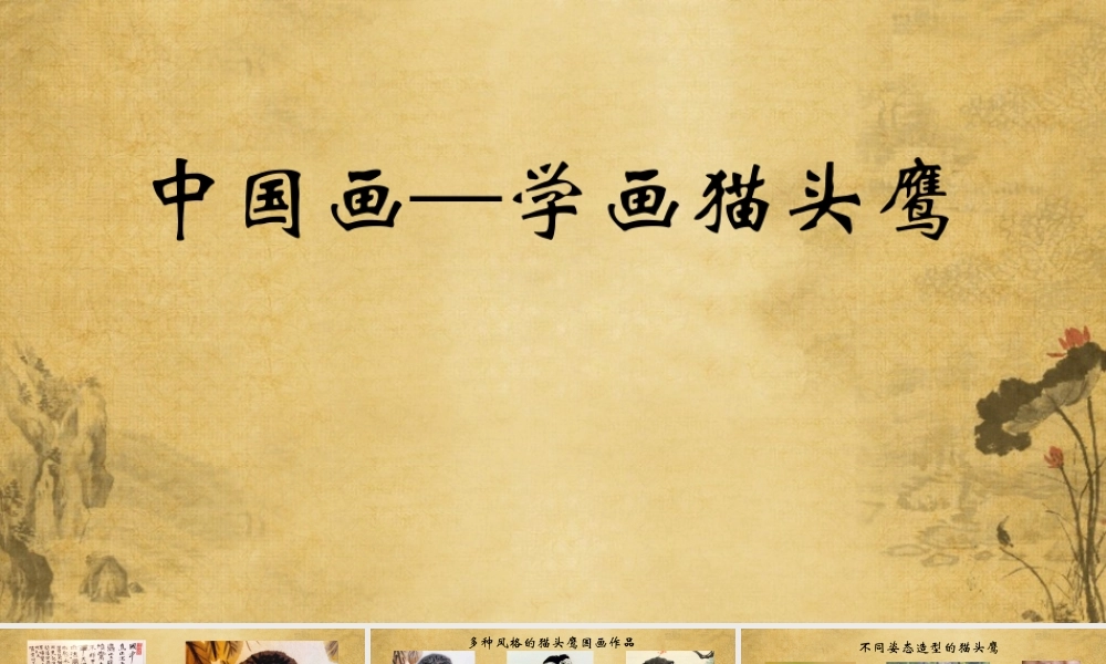 京教杯中国画猫头鹰—孔炳彰—史家小学