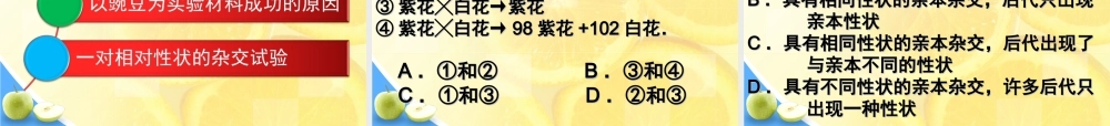1.1-孟德尔的豌豆杂交实验(一)第一课时