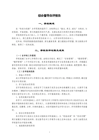 督导年度自评报告