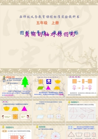 轴对称图形(0811)