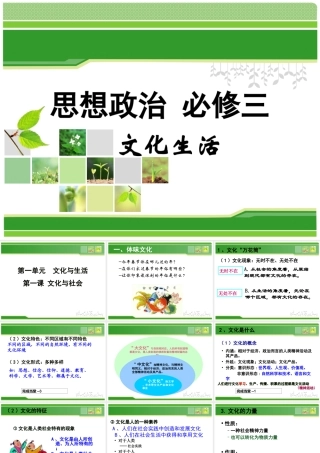 文化生活第一课