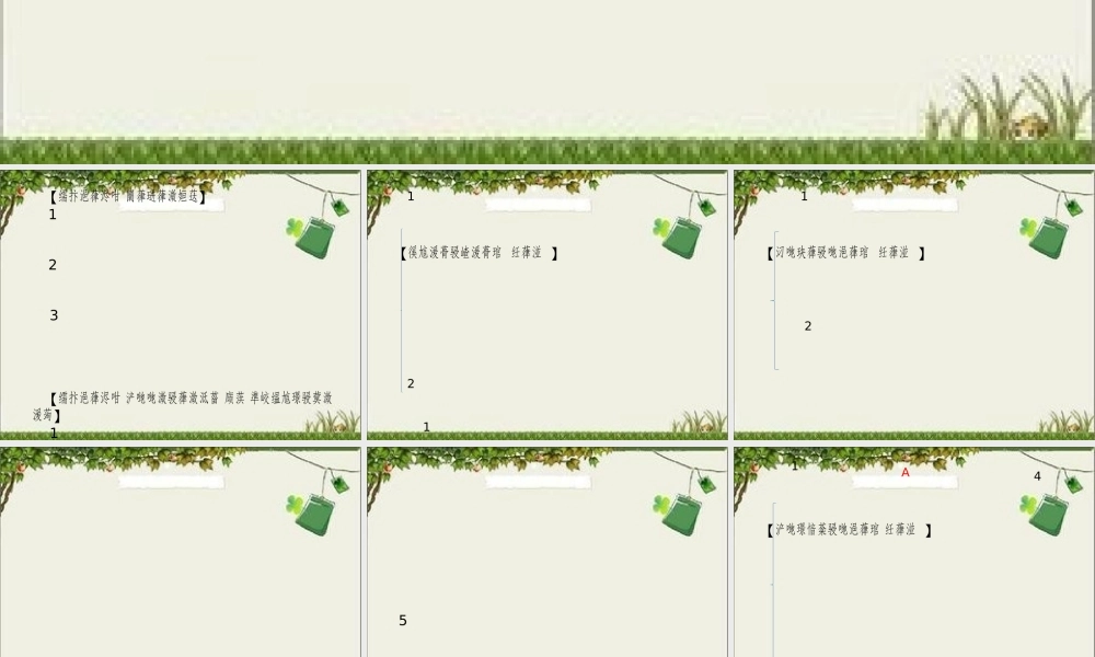 八年级上册蒙语文第五课