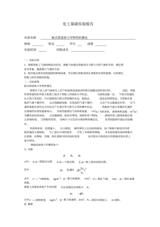 化工基础试验报告