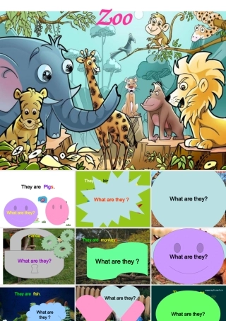 what-are-they