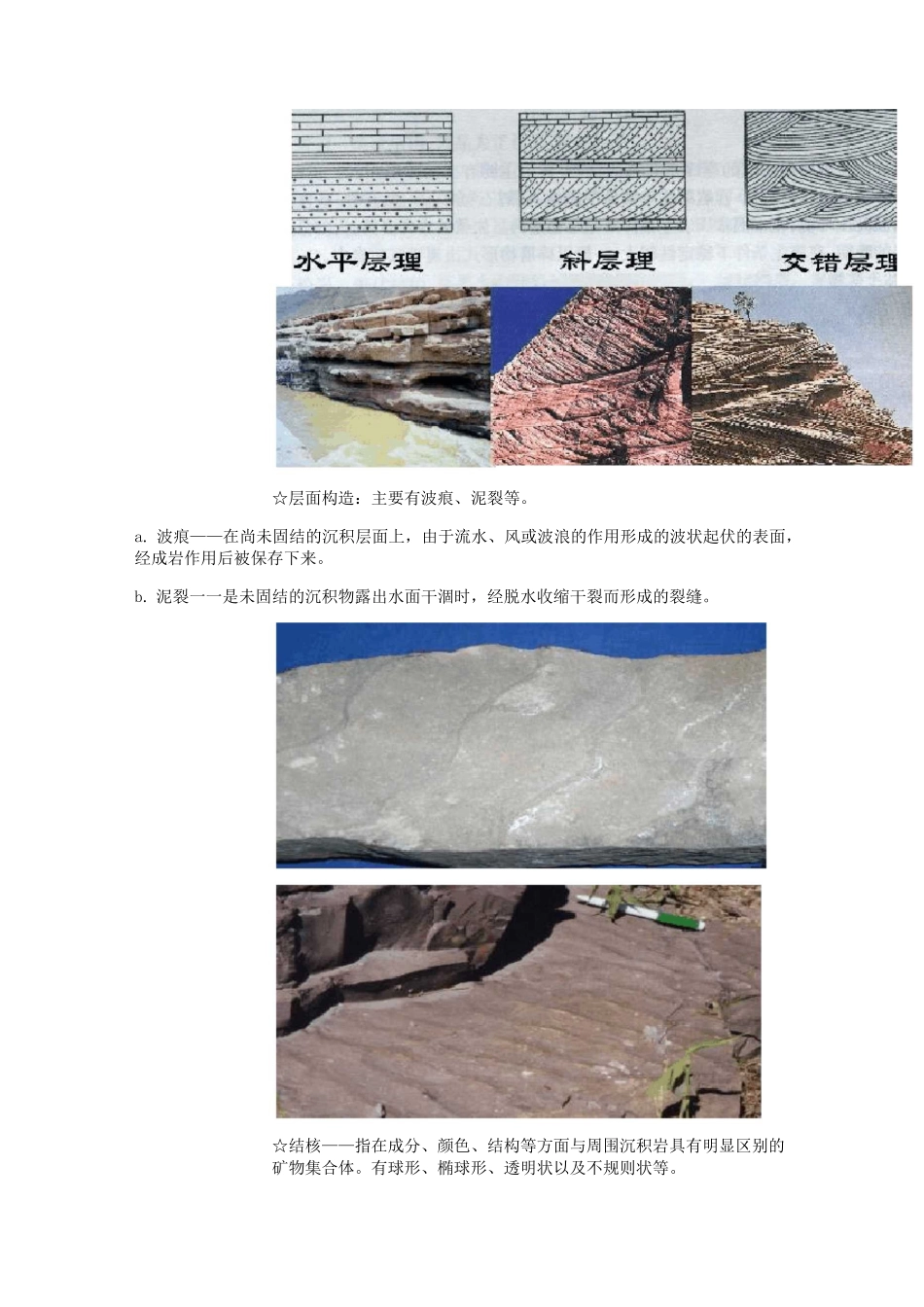 工程地质岩芯编录_第2页