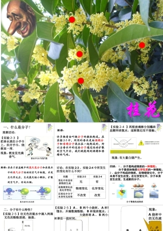 2.3构成物质的微粒第一课时-分子