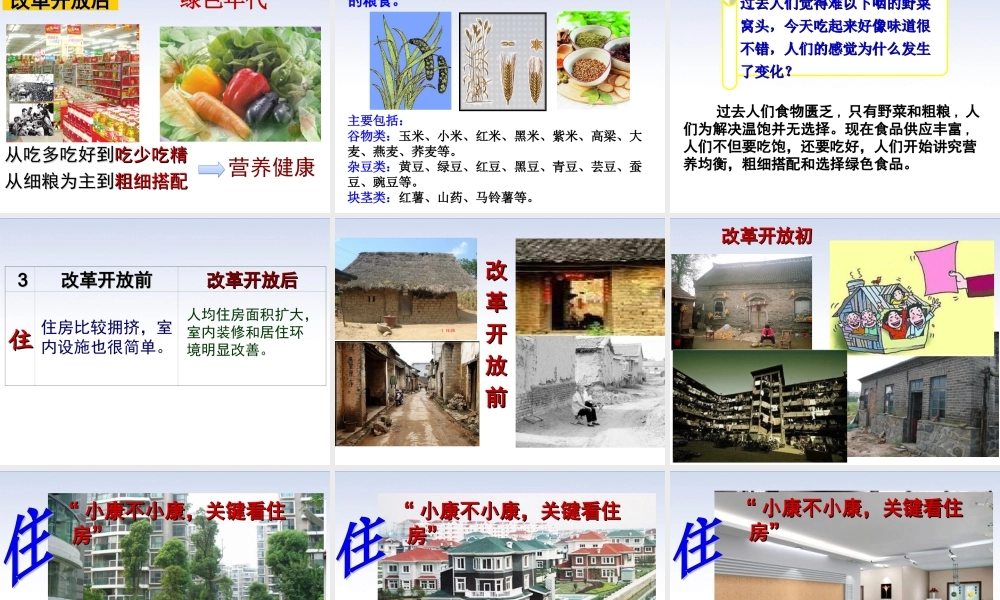 第19课社会生活的变迁