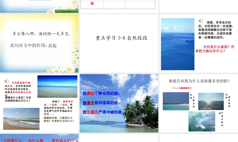 10《我家门前的海》