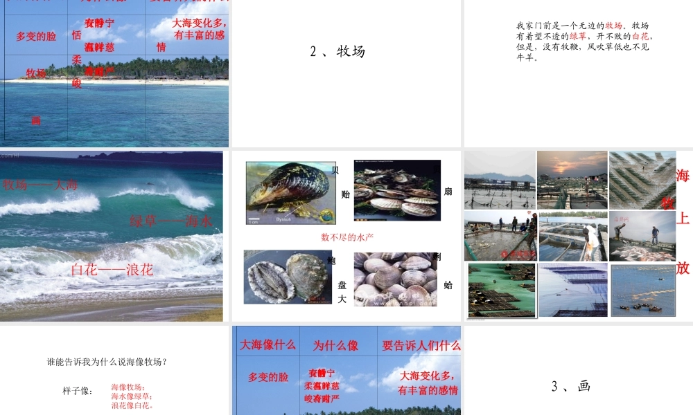 10《我家门前的海》