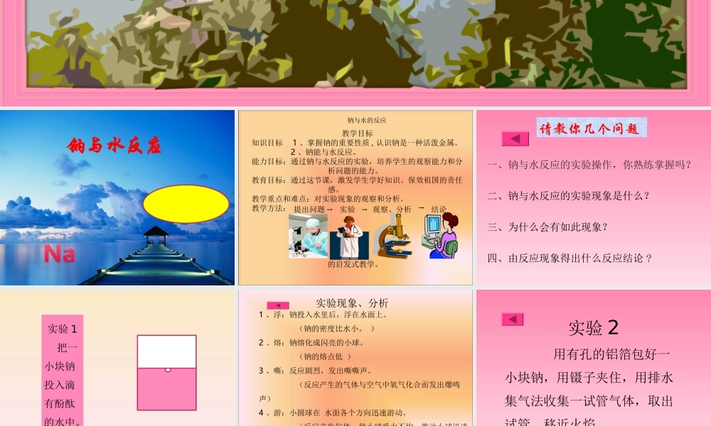 钠与水的反应演示文稿